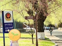 -吉林大学(南岭校区)