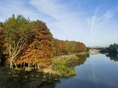 -三垟湿地