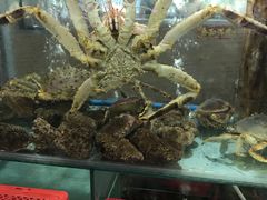-寻味顺德·南记酒家·传统顺德菜·鱼生(广源路店)