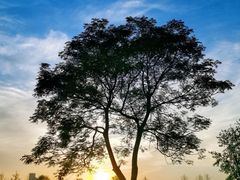 -汉长安城未央宫国家考古遗址公园