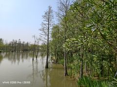 -上海长兴岛郊野公园