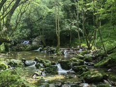 -牛背梁国家森林公园