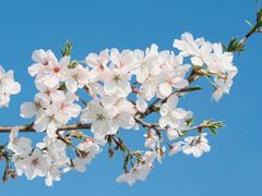 -湘湖金融镇
