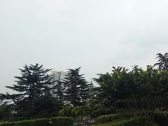 景点-紫荆山公园