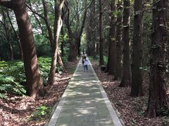 -同里国家湿地公园
