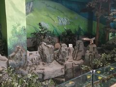 -吉林省自然博物馆