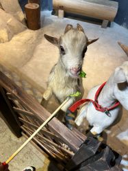 -酷嗒动物文化乐园(cutezoo西溪乐天城店)