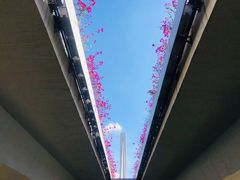 -龙江公园
