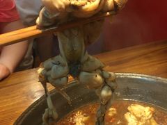 -老天桥蛙炉火锅(姑苏总店)