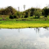 花房子湿地公园