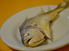 黄墙鱼饭-桂园白粥·潮汕老味道
