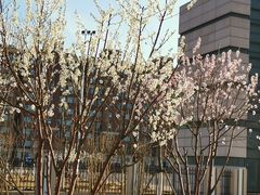 -华北理工大学(曹妃甸校区)