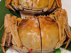 -月湖翠·上海菜(思南公馆淮海店)