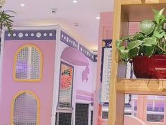 -夏日玛莉西餐厅(金茂览秀城店)