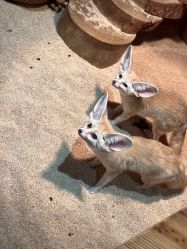 点击看大图 -Zoolung Zoolung动物主题公园(海信广场店)