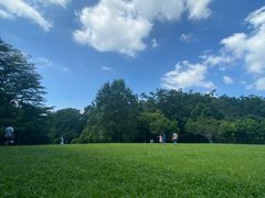 -深圳仙湖植物园