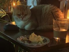 -咖法森林·咖啡  酒吧(天河店)