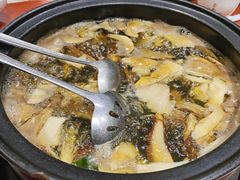-菌之家·专业纯野生菌火锅·特色炒菌