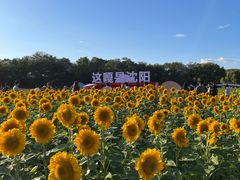 -北陵公园
