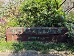 -杭州半山国家森林公园