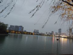 -天鹅湖体育公园