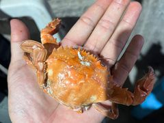 -百丰园海鲜烧烤农家菜(威·至海港湾店)
