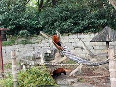 -上海野生动物园