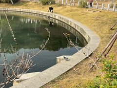 -天鹅湖体育公园