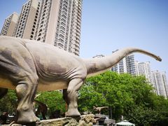 -陕西自然博物馆