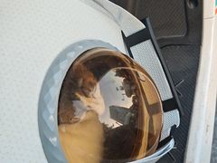 -博特宠物医院24h犬猫全科.骨科·异宠