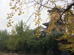 -四川大学(华西校区)