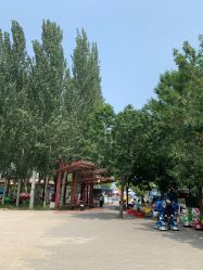 -大望京儿童游乐场