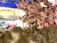 -淀里船宴(裕华东路店)