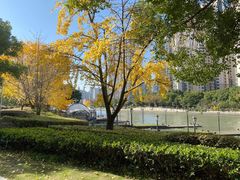 -苏州河梦清园环保主题公园