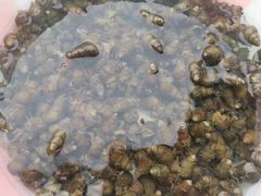 -乡乐园蟹庄·阳澄湖农家乐