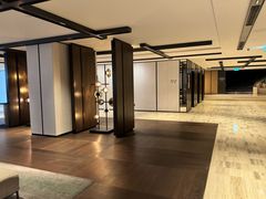 -新加坡乌节希尔顿酒店 (SG Clean)