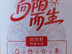 -小吊梨汤·北京菜·烤鸭(清河万象汇店)