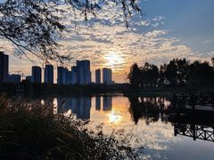 -洋湖国家湿地公园