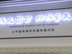 -上海浦东国际机场-T2航站楼