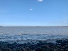 -上海吴淞炮台湾国家湿地公园