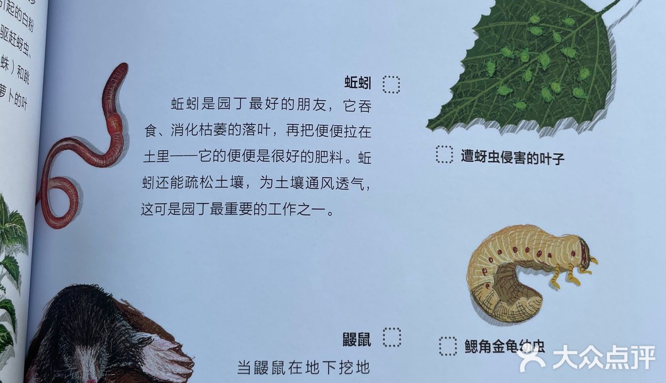 【从田间到餐桌，让孩子认知食物：我的自然观察游戏书】 