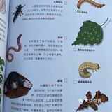 【从田间到餐桌，让孩子认知食物：我的自然观察游戏书】 