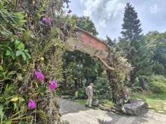 -东莞植物园