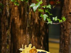 -济南喜来登酒店