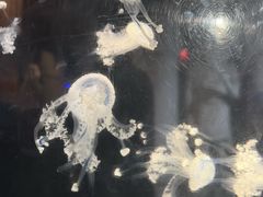 -华夏文旅西安度假区