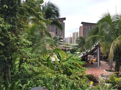 -亚马逊丛林水乐园