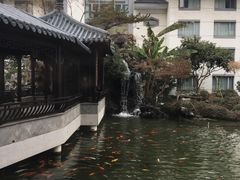 -苏苑饭店-中餐厅(长桥地区店)
