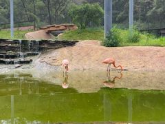 -沈阳森林动物园