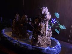 -若石足道SPA 连锁(丹东街店)