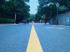 -八大关景区
